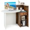 Oval Reception Desk with Lockable Drawer and Adjustable Open Shelf